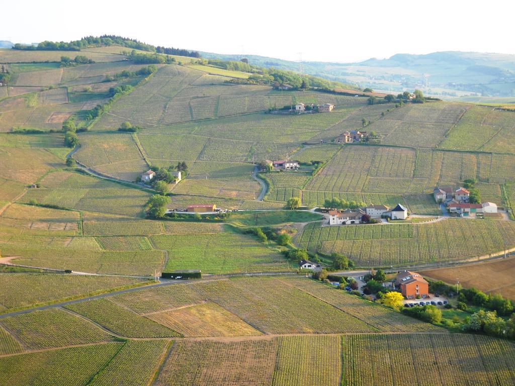 Des Vignes 3*