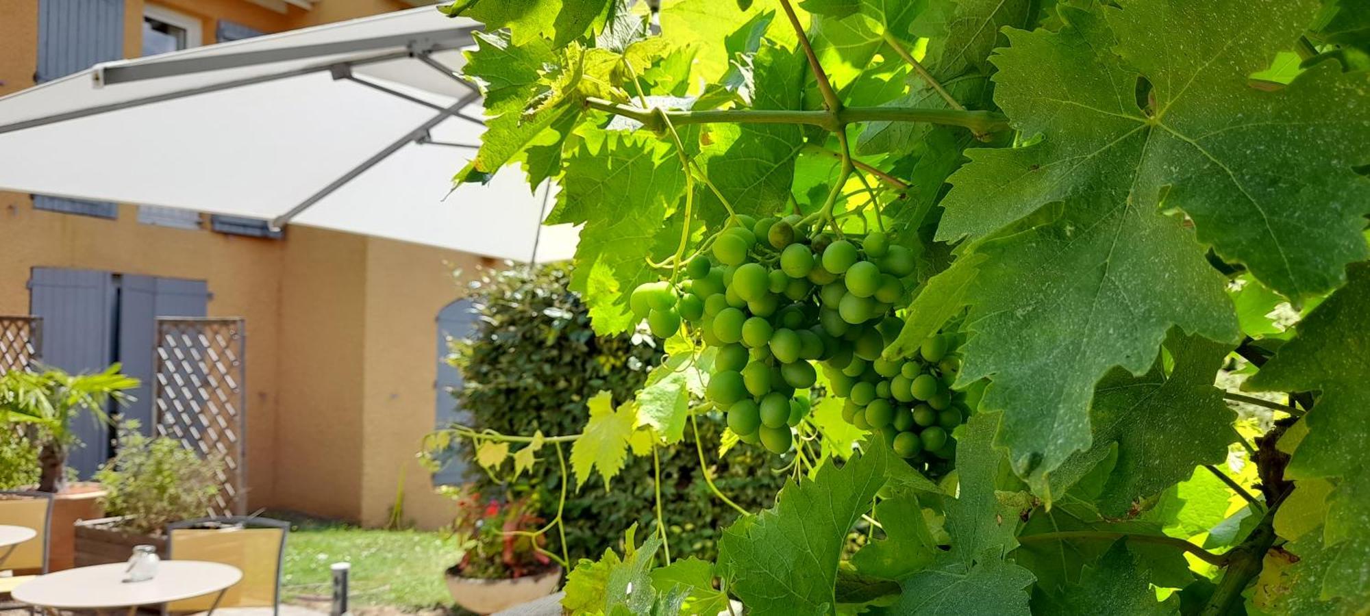 Des Vignes Hotel