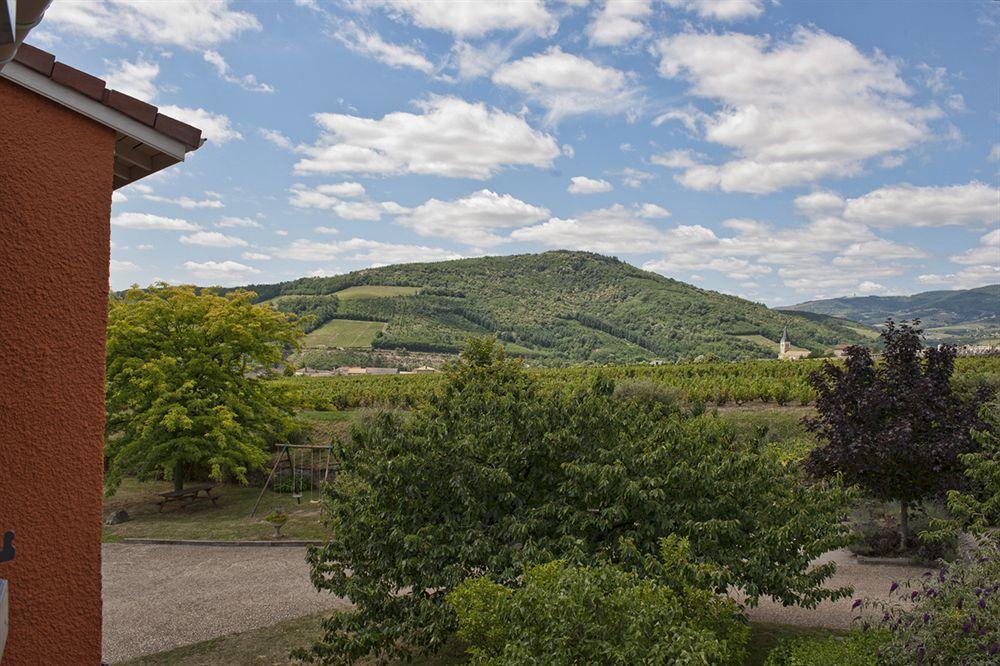 Des Vignes 3* Juliénas