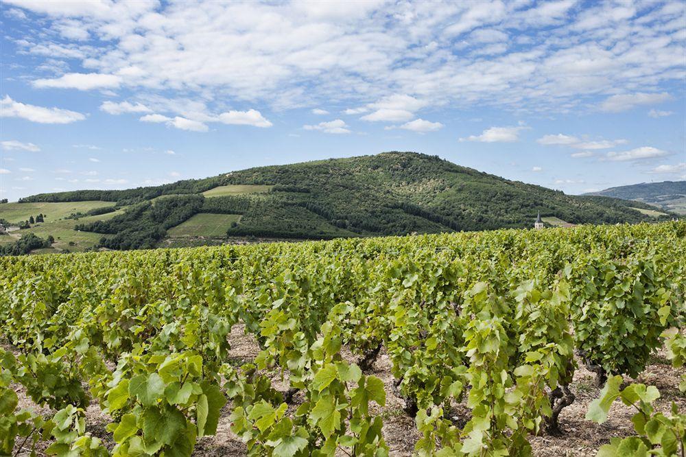 Des Vignes 3* Juliénas