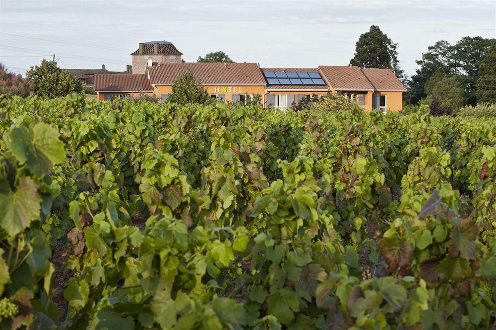 Hotel Des Vignes