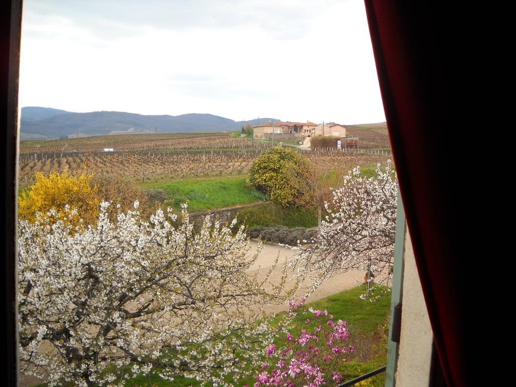 Des Vignes Juliénas