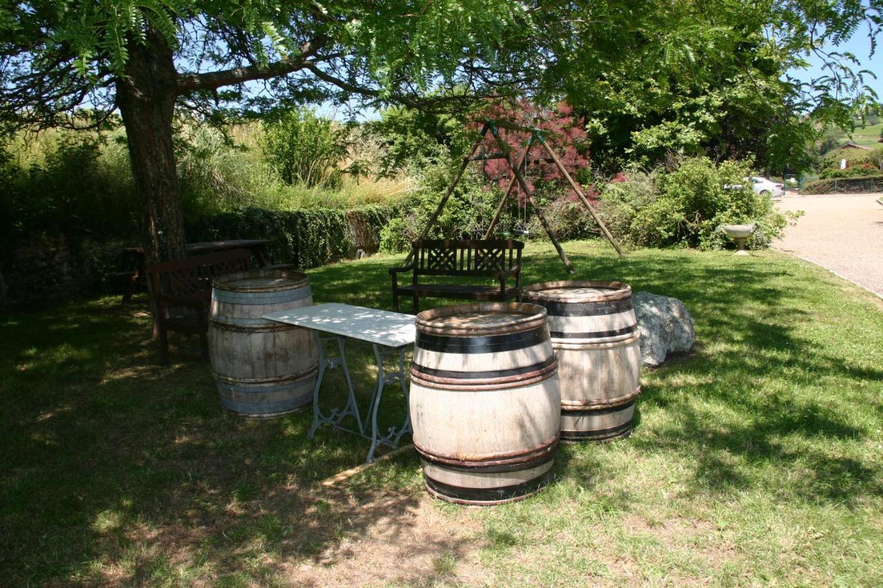 Des Vignes Juliénas